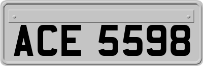 ACE5598