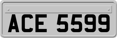 ACE5599