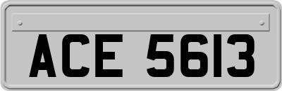 ACE5613