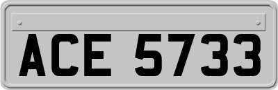 ACE5733
