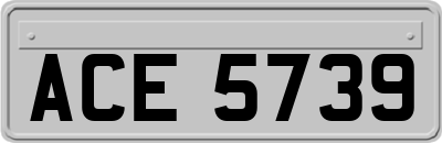 ACE5739