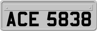 ACE5838
