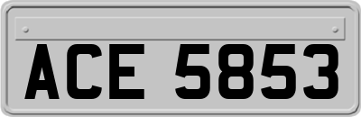 ACE5853