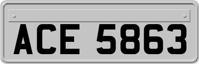 ACE5863