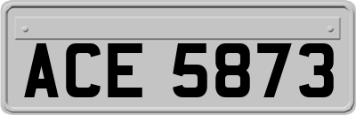 ACE5873