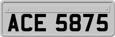 ACE5875