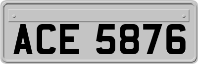 ACE5876
