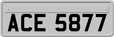 ACE5877