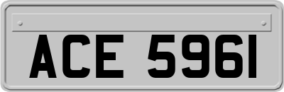 ACE5961