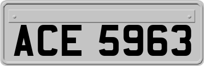 ACE5963