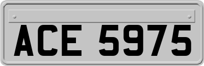 ACE5975