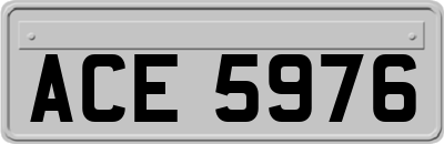 ACE5976
