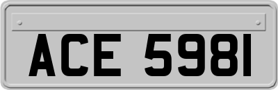 ACE5981