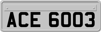 ACE6003