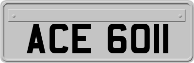 ACE6011