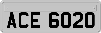 ACE6020