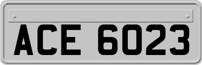 ACE6023