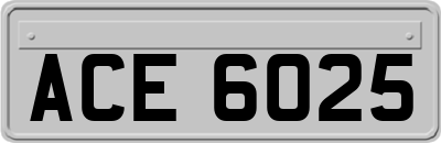 ACE6025
