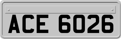ACE6026