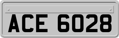 ACE6028
