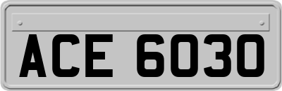 ACE6030