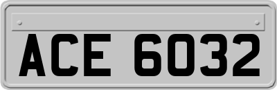 ACE6032