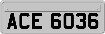 ACE6036