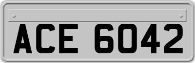 ACE6042