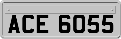 ACE6055