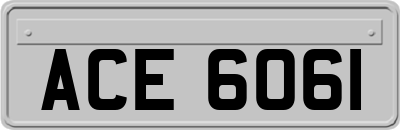 ACE6061