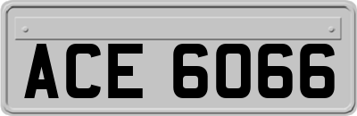 ACE6066