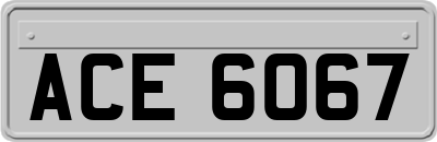 ACE6067