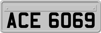ACE6069