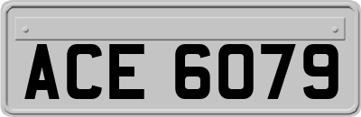 ACE6079