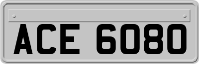 ACE6080