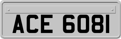 ACE6081