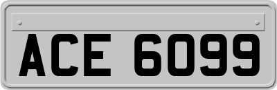 ACE6099