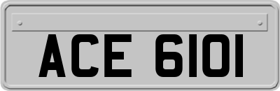 ACE6101
