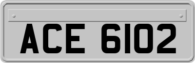 ACE6102