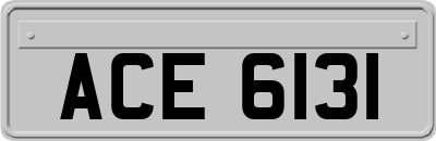ACE6131