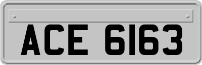 ACE6163