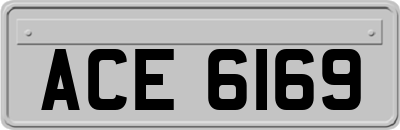 ACE6169