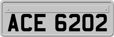 ACE6202