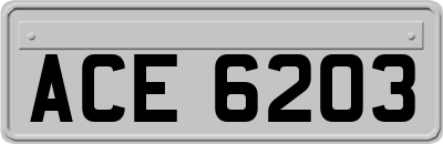 ACE6203