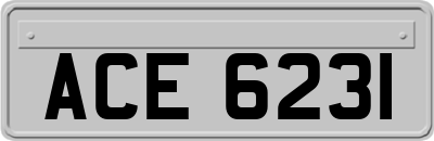ACE6231