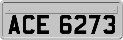 ACE6273
