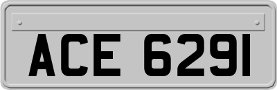 ACE6291