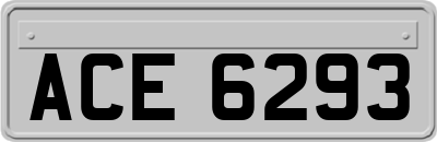 ACE6293