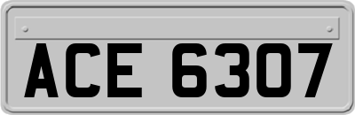 ACE6307
