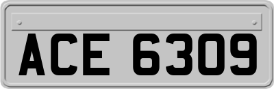 ACE6309